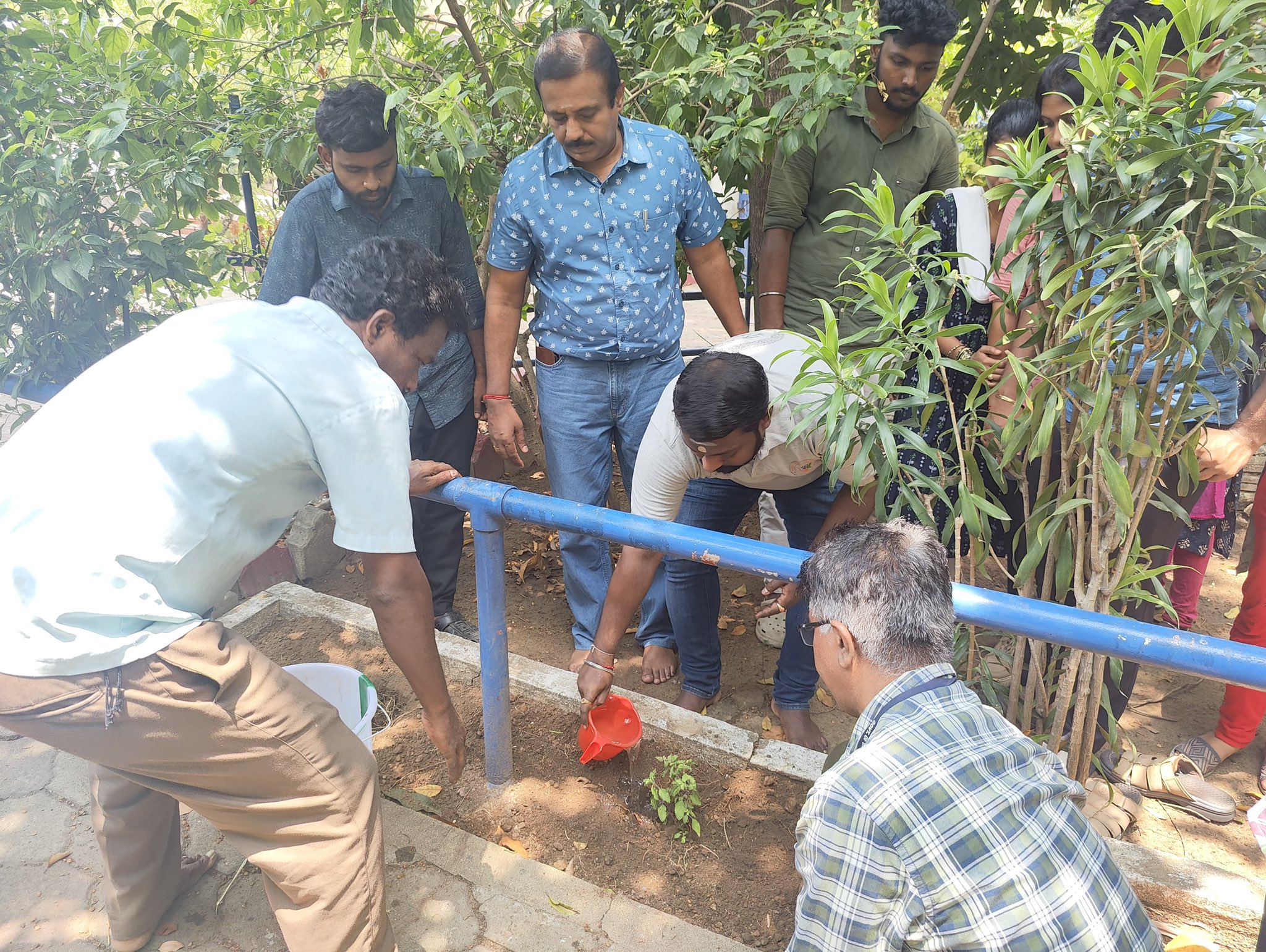 Image from gallery